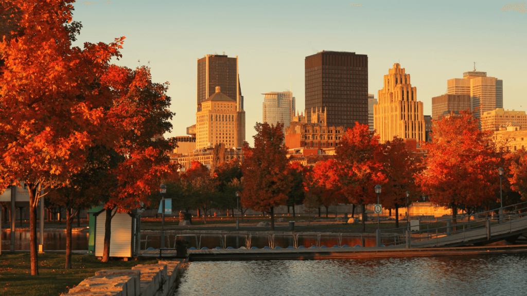 Un coucher de soleil sur le Vieux-Port de Montréal avec les arbres aux couleurs automnales, une vue parfaite pour explorer la ville à petit budget.