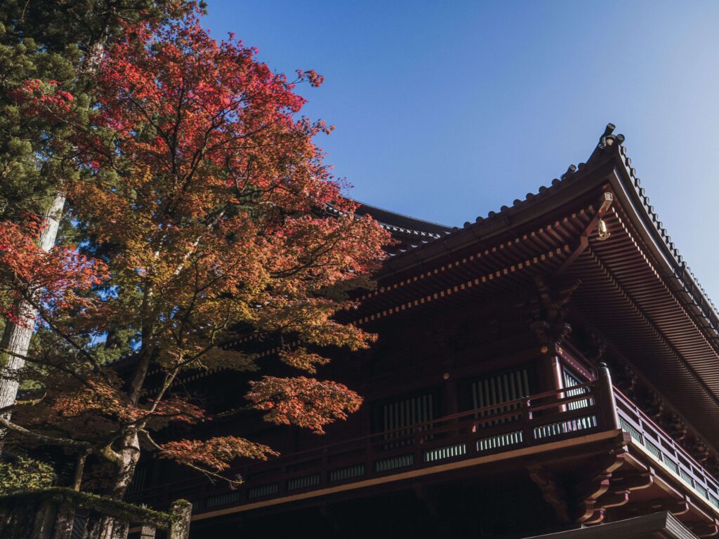 Temple japonais entouré de feuilles rouges de momiji en automne.