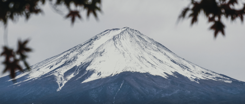 Vue du mont Fuji enneigé au Japon, encadré de feuilles d’érable au premier plan
