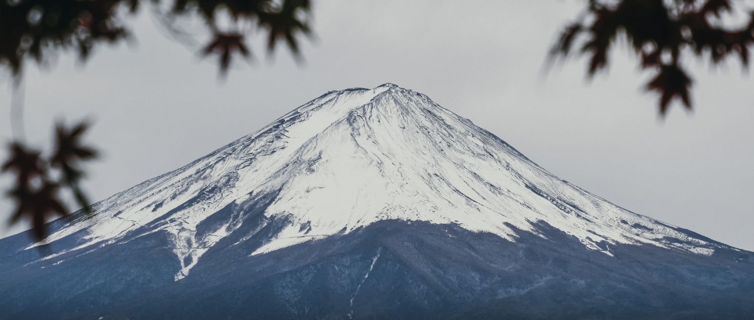 Vue du mont Fuji enneigé au Japon, encadré de feuilles d’érable au premier plan